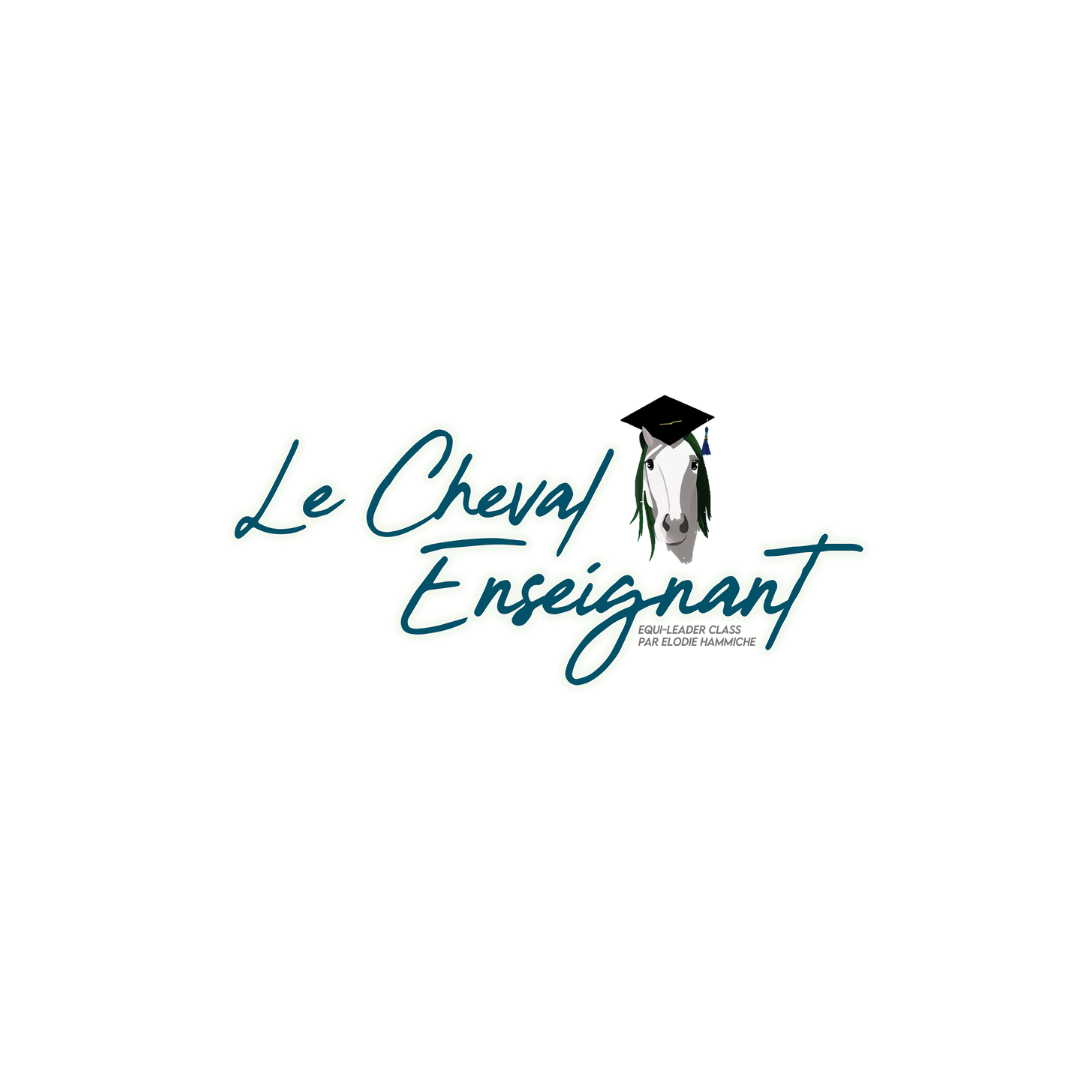 Logo le cheval enseignant