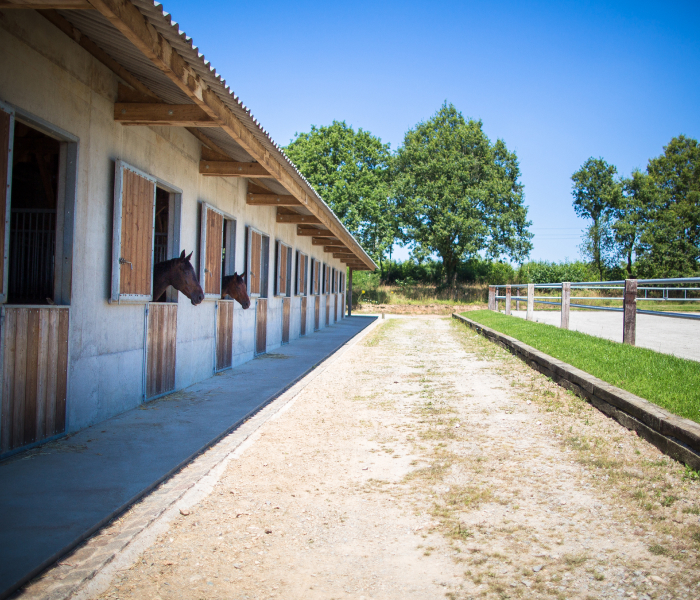 Photo domaine 4