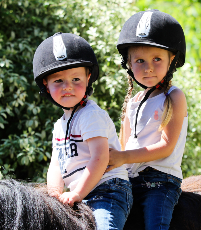 Équitation et pensions Image 1