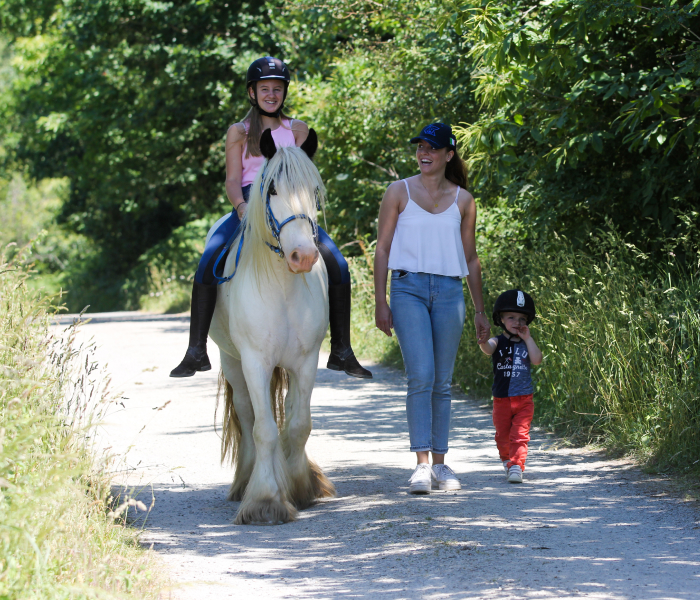 Équitation et pensions Image 2